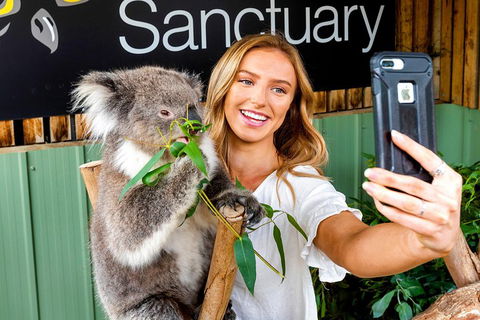 Moonlit Sanctuary Wildlife Conservation Park Daytime General Entry Ticket - Surfers Paradise Gold Coast 4