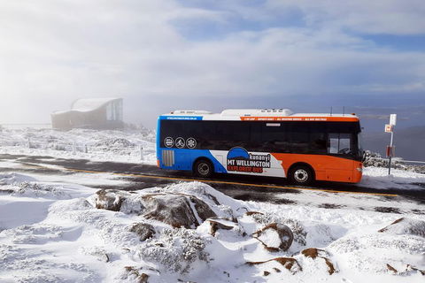 Hobart Hop-On Hop-Off Bus & Kunanyi/Mt Wellington Tour - Surfers Paradise Gold Coast 5
