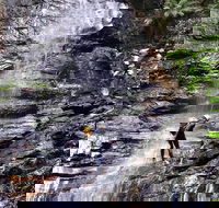 Full-Day Canyoning Experience at Stunning Empress Canyon - Surfers Paradise Gold Coast