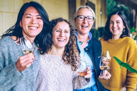 Sip N Savour: Southern Highlands Premium Wine Tour From Sydney - Surfers Paradise Gold Coast 1