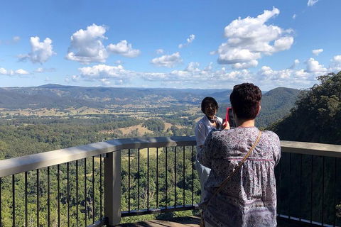 Sunshine Coast Private Scenic Guided Tour Inc. 2-Course Gourmet Lunch - Surfers Paradise Gold Coast 4