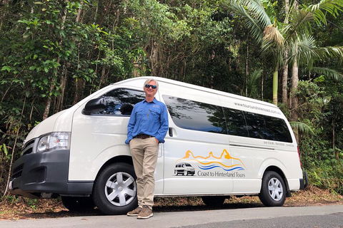 Sunshine Coast Hinterland Rainforest, Views And Montville Day Tour Inc. Lunch - Surfers Paradise Gold Coast 1