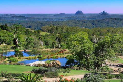 Sunshine Coast Hinterland Rainforest, Views And Montville Day Tour Inc. Lunch - Surfers Paradise Gold Coast 5
