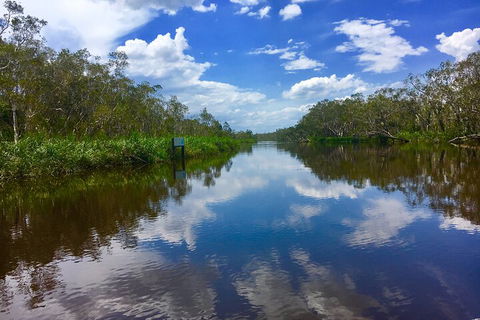 Noosa Everglades Serenity Cruise & Highlights Tour Inc. Lunch & Cruise - Surfers Paradise Gold Coast 0