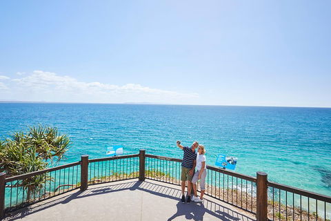 Noosa Everglades Serenity Cruise & Highlights Tour Inc. Lunch & Cruise - Surfers Paradise Gold Coast 3