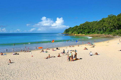 Noosa Everglades Serenity Cruise & Highlights Tour Inc. Lunch & Cruise - Surfers Paradise Gold Coast 4