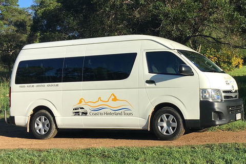 Noosa Everglades Serenity Cruise & Highlights Tour Inc. Lunch & Cruise - Surfers Paradise Gold Coast 5