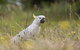 Great Ocean Road Highlights Tour - 2 Days, 1 Night - thumb 1