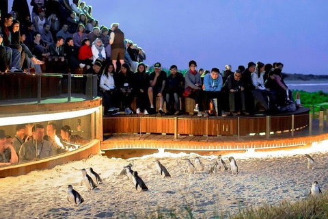 Great Ocean Road & Phillip Island - 3 Days, 2 Nights - Surfers Paradise Gold Coast 0