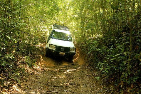 Barron Gorge And Kuranda National Park Half Day Rainforest And Waterfall 4WD Tour From Cairns - Surfers Paradise Gold Coast 2