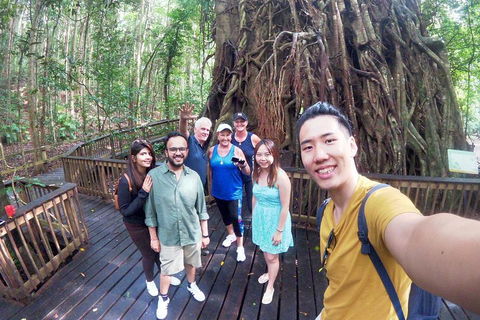 Barron Gorge And Kuranda National Park Half Day Rainforest And Waterfall 4WD Tour From Cairns - Surfers Paradise Gold Coast 5
