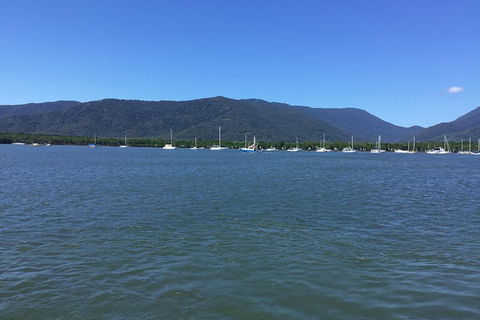 Cairns City Tour - Surfers Paradise Gold Coast 3