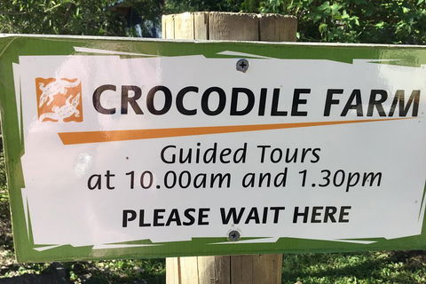 Cairns City Tour - Surfers Paradise Gold Coast 5