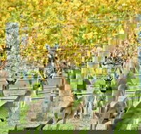 Margaret River Indulge and Discover Day Tour - Surfers Paradise Gold Coast