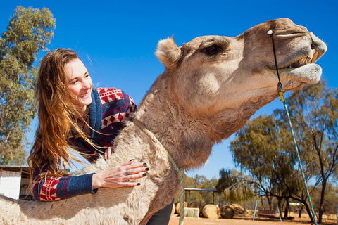 Alice Springs Camel Tour - Surfers Paradise Gold Coast 2