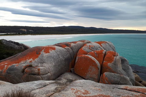 3-Day Bay Of Fires Photography Workshop From Hobart - Surfers Paradise Gold Coast 0