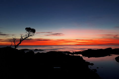 3-Day Bay Of Fires Photography Workshop From Hobart - Surfers Paradise Gold Coast 1