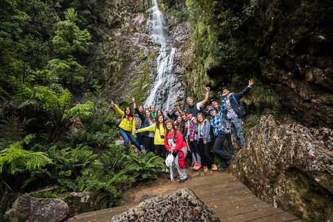 5-Day Lap Of Tasmania Tour From Hobart (flexible Ticket) - Surfers Paradise Gold Coast 0