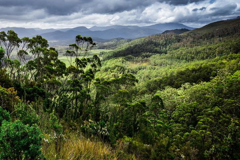 5-Day Lap Of Tasmania Tour From Hobart (flexible Ticket) - Surfers Paradise Gold Coast 2
