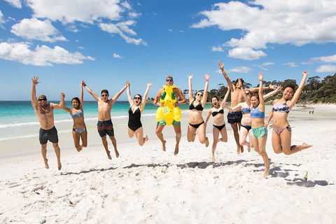 5-Day Lap Of Tasmania Tour From Hobart (flexible Ticket) - Surfers Paradise Gold Coast 4