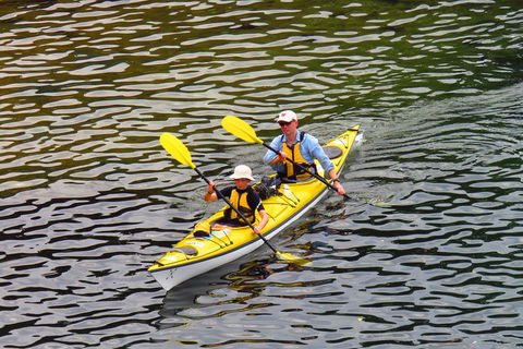 Self-Guided Sydney Middle Harbour Kayak 3 Hour Tour By Double Kayak - Surfers Paradise Gold Coast 0