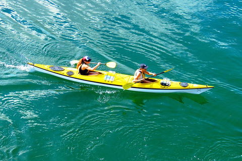 Self-Guided Sydney Middle Harbour Kayak 3 Hour Tour By Double Kayak - Surfers Paradise Gold Coast 1