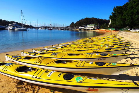 Self-Guided Sydney Middle Harbour Kayak 3 Hour Tour By Double Kayak - Surfers Paradise Gold Coast 4