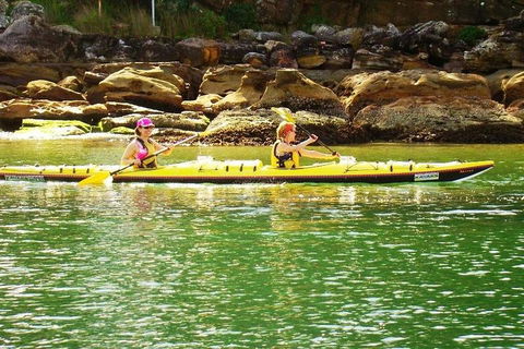 Self-Guided Sydney Middle Harbour Kayak 3 Hour Tour By Double Kayak - Surfers Paradise Gold Coast 5