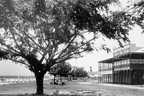 Cairns History Walking Tour - Surfers Paradise Gold Coast 2