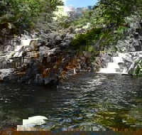 Behana Canyon Rainforest and Waterfall Experience - Surfers Paradise Gold Coast