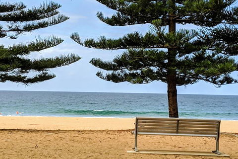 Manly & Sydney's Northern Beaches With 'Personalised Sydney Tours' - Surfers Paradise Gold Coast 0