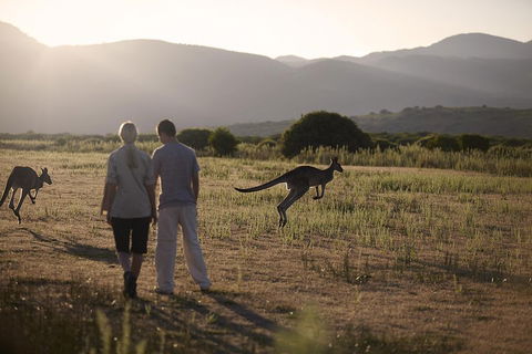 Overnight Daylesford And Macedon Ranges Gourmet Food Trail Tour From Melbourne - Surfers Paradise Gold Coast 1