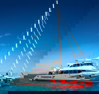 Passions of Paradise Great Barrier Reef Snorkel and Dive Cruise from Cairns by Luxury Catamaran - Surfers Paradise Gold Coast
