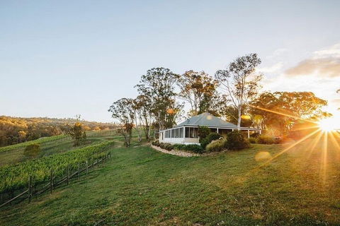 Taste Of The Blue Mountains - Lunch & Wine Tasting, Beer, Cider & Gin Tasting - Surfers Paradise Gold Coast 2