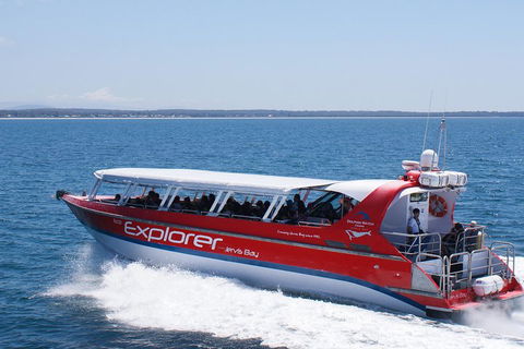 Whale Watching Jervis Bay - Surfers Paradise Gold Coast 1
