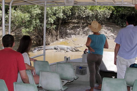 Whitsunday Crocodile Safari Including Lunch - Surfers Paradise Gold Coast 4