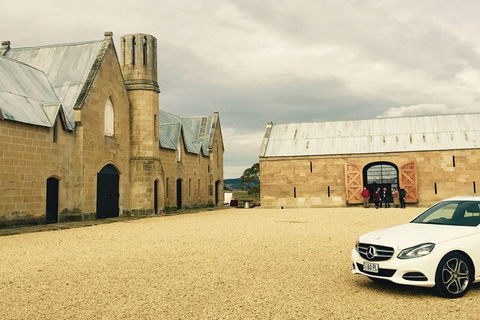 Signature Tour - Surfers Paradise Gold Coast 1