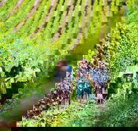 Tasmanian Wine Tour - Surfers Paradise Gold Coast