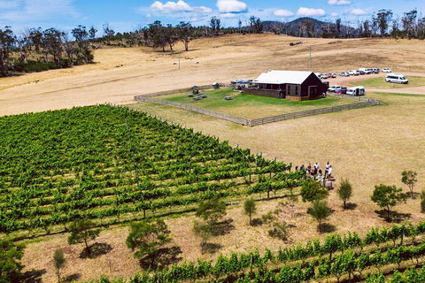 Tasmanian Wine Tour - Surfers Paradise Gold Coast 3