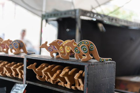 Full Coverage Sydney Private City Tour - Surfers Paradise Gold Coast 0