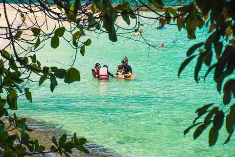 Green Island Day Trip From Cairns - Surfers Paradise Gold Coast 2