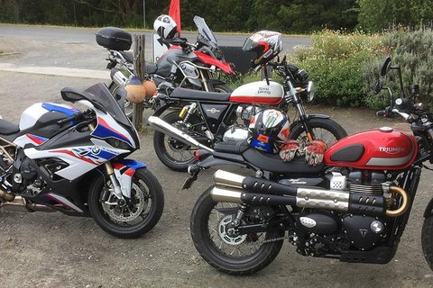 Triumph Street Scrambler 900cc - Surfers Paradise Gold Coast 4