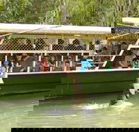 Hartley's Crocodile Adventure Half-Day Tour - Surfers Paradise Gold Coast
