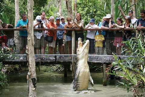 Hartley's Crocodile Adventure Half-Day Tour - Surfers Paradise Gold Coast 1