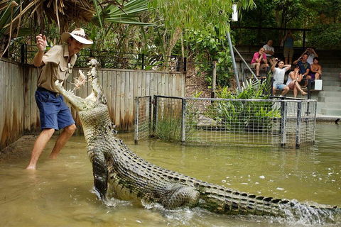 Hartley's Crocodile Adventure Half-Day Tour - Surfers Paradise Gold Coast 2