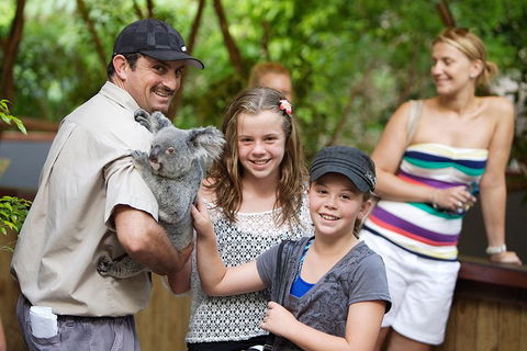 Hartley's Crocodile Adventure Half-Day Tour - Surfers Paradise Gold Coast 3