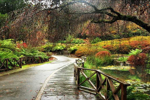 Discover Tour: Dandenong Ranges & William Ricketts Sanctuary - Surfers Paradise Gold Coast 3