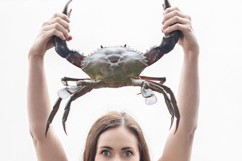 The Ultimate Gold Coast Attractions Pass - Surfers Paradise Gold Coast 0