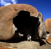 Full-Day Kangaroo Island Safari from Penneshaw - Surfers Paradise Gold Coast