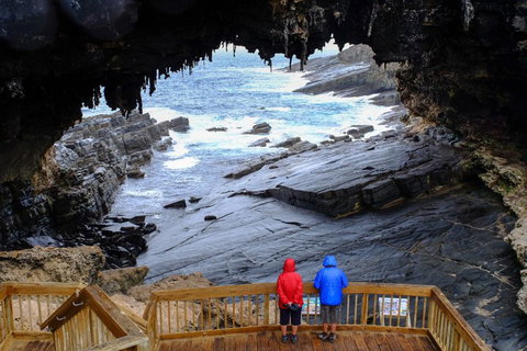 Full-Day Kangaroo Island Safari From Penneshaw - Surfers Paradise Gold Coast 1